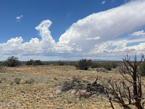 Tiny photo for Lot 595 Graham Road, Heber, AZ 85928 (MLS # 256458)