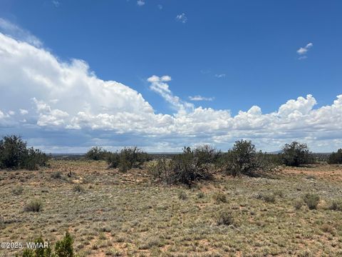 Tiny photo for Lot 595 Graham Road, Heber, AZ 85928 (MLS # 256458)