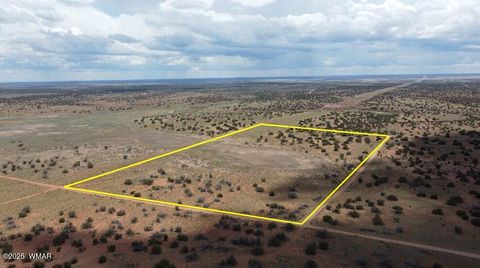 Photo of Lot 595 Graham Road, Heber, AZ 85928 (MLS # 256458)