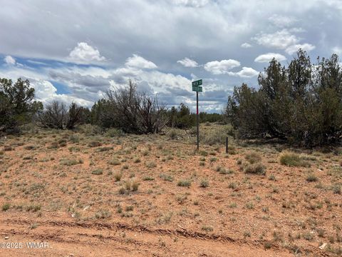 Tiny photo for Lot 595 Graham Road, Heber, AZ 85928 (MLS # 256458)