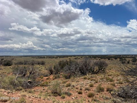 Tiny photo for Lot 595 Graham Road, Heber, AZ 85928 (MLS # 256458)