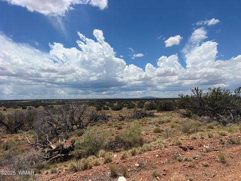 Tiny photo for Lot 595 Graham Road, Heber, AZ 85928 (MLS # 256458)