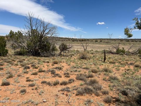 Tiny photo for Lot 595 Graham Road, Heber, AZ 85928 (MLS # 256458)