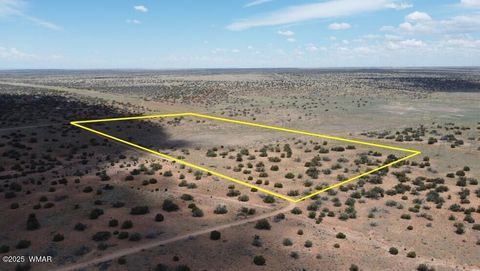 Tiny photo for Lot 595 Graham Road, Heber, AZ 85928 (MLS # 256458)