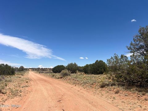 Tiny photo for Lot 595 Graham Road, Heber, AZ 85928 (MLS # 256458)