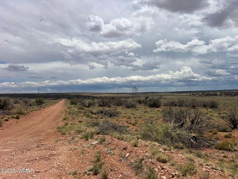 Tiny photo for Lot 595 Graham Road, Heber, AZ 85928 (MLS # 256458)
