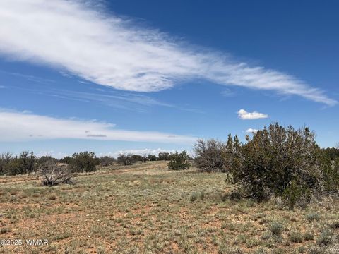 Tiny photo for Lot 595 Graham Road, Heber, AZ 85928 (MLS # 256458)