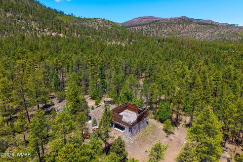 Tiny photo for 16 N2240, Nutrioso, AZ 85932 (MLS # 261152)