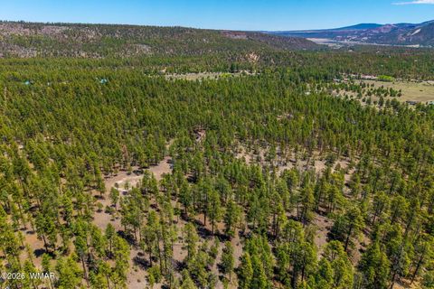 Tiny photo for 16 N2240, Nutrioso, AZ 85932 (MLS # 261152)