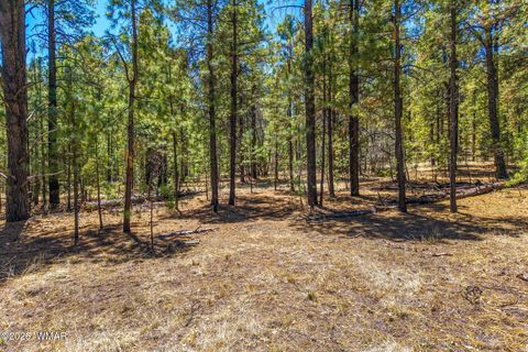 Tiny photo for 16 N2240, Nutrioso, AZ 85932 (MLS # 261152)