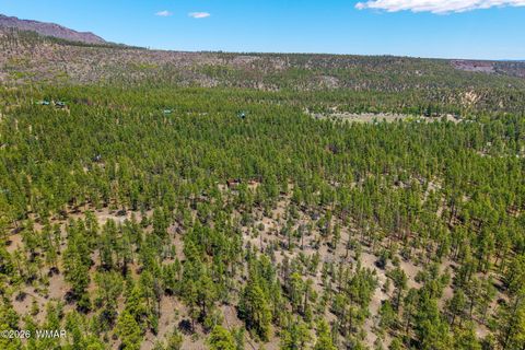 Tiny photo for 16 N2240, Nutrioso, AZ 85932 (MLS # 261152)