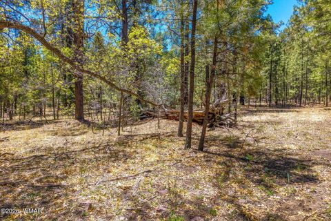 Tiny photo for 16 N2240, Nutrioso, AZ 85932 (MLS # 261152)