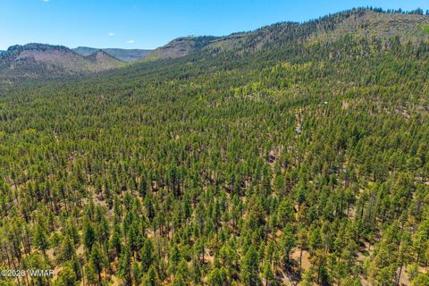 Tiny photo for 16 N2240, Nutrioso, AZ 85932 (MLS # 261152)
