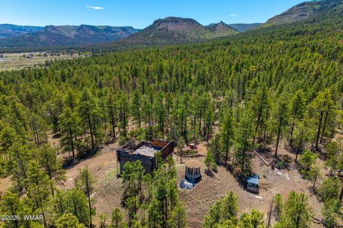 Tiny photo for 16 N2240, Nutrioso, AZ 85932 (MLS # 261152)