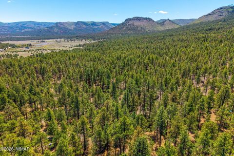 Tiny photo for 16 N2240, Nutrioso, AZ 85932 (MLS # 261152)