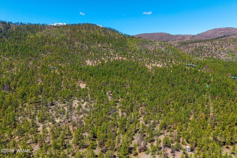 Tiny photo for 16 N2240, Nutrioso, AZ 85932 (MLS # 261152)