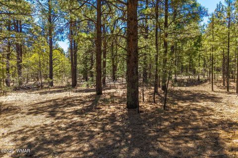 Tiny photo for 16 N2240, Nutrioso, AZ 85932 (MLS # 261152)