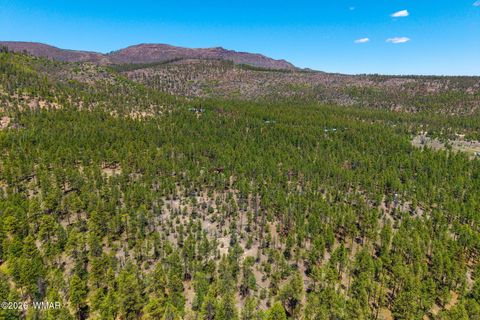 Tiny photo for 16 N2240, Nutrioso, AZ 85932 (MLS # 261152)