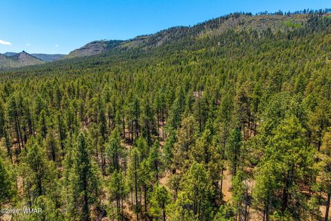 Tiny photo for 16 N2240, Nutrioso, AZ 85932 (MLS # 261152)