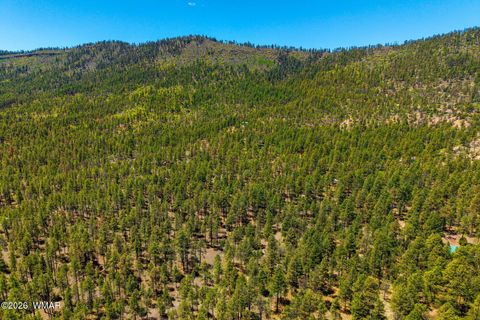 Tiny photo for 16 N2240, Nutrioso, AZ 85932 (MLS # 261152)