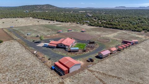 Photo of 18 N CR N3207, Vernon, AZ 85940 (MLS # 256093)