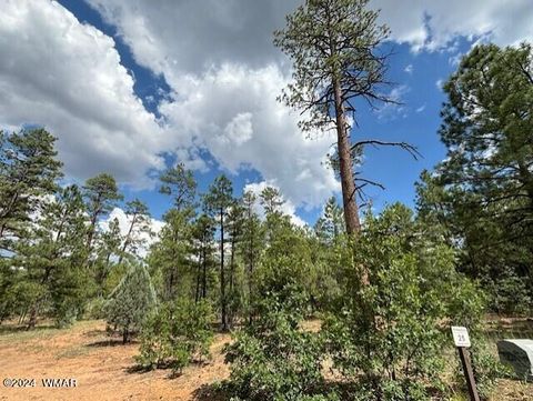 Tiny photo for 2341 W Pinegrass Road, Show Low, AZ 85901 (MLS # 259456)