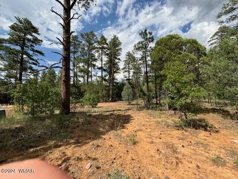 Tiny photo for 2341 W Pinegrass Road, Show Low, AZ 85901 (MLS # 259456)