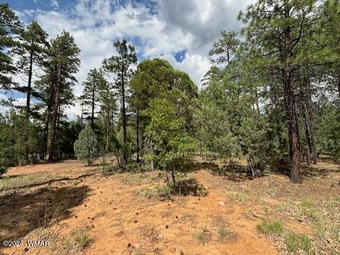 Tiny photo for 2341 W Pinegrass Road, Show Low, AZ 85901 (MLS # 259456)