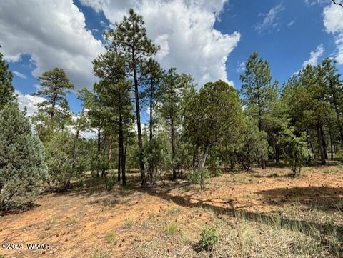 Photo of 2341 W Pinegrass Road, Show Low, AZ 85901 (MLS # 259456)