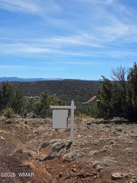 Tiny photo for 6 Co Road, Vernon, AZ 85940 (MLS # 259763)