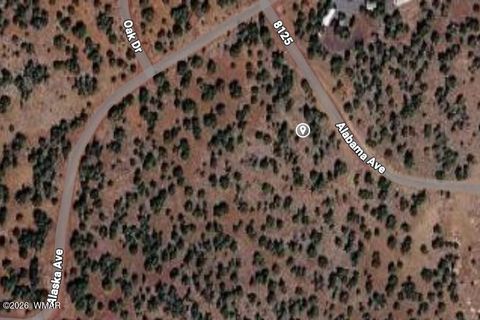 Tiny photo for 6 Co Road, Vernon, AZ 85940 (MLS # 259763)