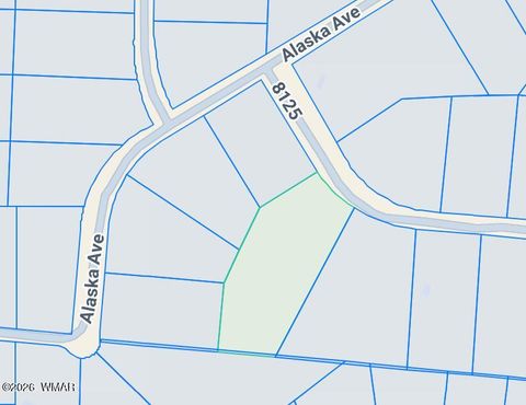 Tiny photo for 6 Co Road, Vernon, AZ 85940 (MLS # 259763)