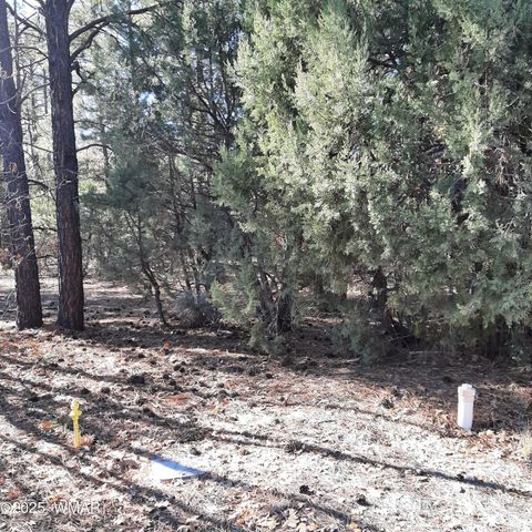 Photo of 3321 W Mariposa Lane, Show Low, AZ 85901 (MLS # 258869)