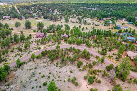 Tiny photo for 2793 Skyhawk Drive, Overgaard, AZ 85933 (MLS # 247373)