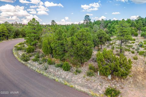 Tiny photo for 2793 Skyhawk Drive, Overgaard, AZ 85933 (MLS # 247373)