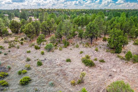Tiny photo for 2793 Skyhawk Drive, Overgaard, AZ 85933 (MLS # 247373)