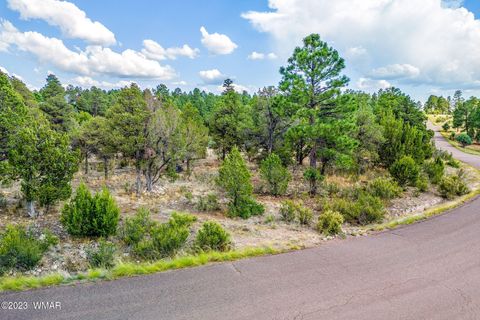 Tiny photo for 2793 Skyhawk Drive, Overgaard, AZ 85933 (MLS # 247373)