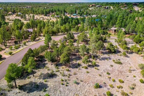 Tiny photo for 2793 Skyhawk Drive, Overgaard, AZ 85933 (MLS # 247373)