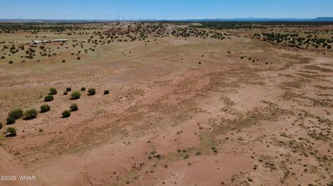 Tiny photo for TBD Ranch of the White Mountains10, Concho, AZ 85924 (MLS # 257452)