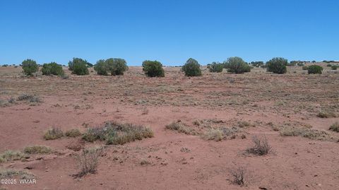 Tiny photo for TBD Ranch of the White Mountains10, Concho, AZ 85924 (MLS # 257452)