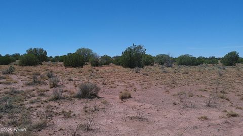 Tiny photo for TBD Ranch of the White Mountains10, Concho, AZ 85924 (MLS # 257452)
