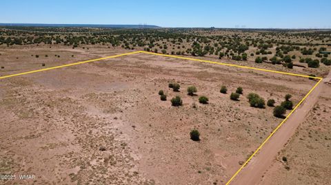 Tiny photo for TBD Ranch of the White Mountains10, Concho, AZ 85924 (MLS # 257452)