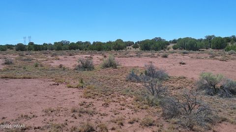 Tiny photo for TBD Ranch of the White Mountains10, Concho, AZ 85924 (MLS # 257452)