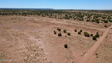 Tiny photo for TBD Ranch of the White Mountains10, Concho, AZ 85924 (MLS # 257452)