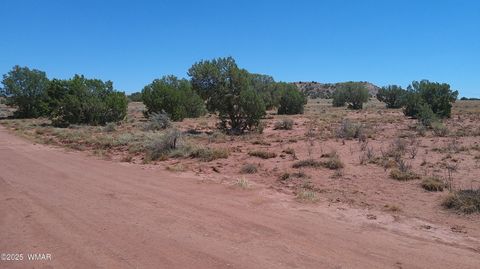 Photo of TBD Ranch of the White Mountains10, Concho, AZ 85924 (MLS # 257452)