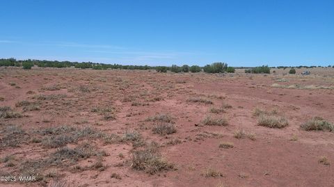 Tiny photo for TBD Ranch of the White Mountains10, Concho, AZ 85924 (MLS # 257452)