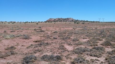 Tiny photo for TBD Ranch of the White Mountains10, Concho, AZ 85924 (MLS # 257452)