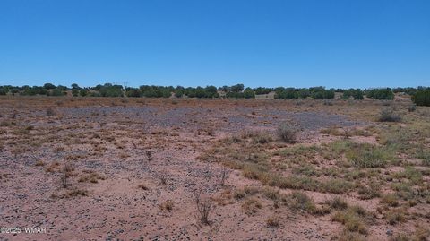 Tiny photo for TBD Ranch of the White Mountains10, Concho, AZ 85924 (MLS # 257452)