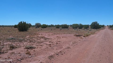 Tiny photo for TBD Ranch of the White Mountains10, Concho, AZ 85924 (MLS # 257452)