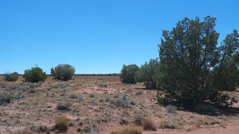 Tiny photo for TBD Ranch of the White Mountains10, Concho, AZ 85924 (MLS # 257452)